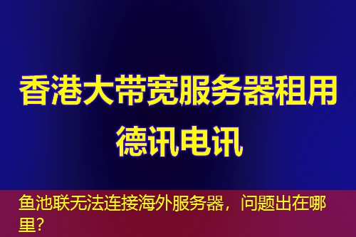 鱼池联无法连接海外服务器，问题出在哪里？